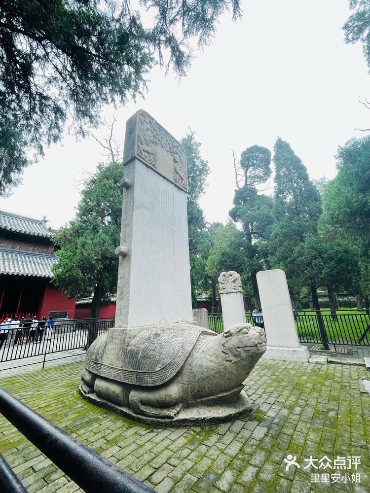 曲阜app客户端官方客户端下载完整版-第1张图片-太平洋在线下载