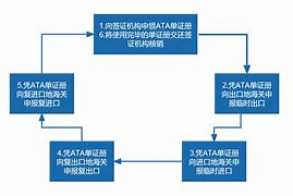 安卓版单证通单证通安卓app下载